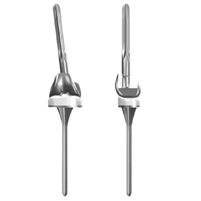 Revision Arthroplasty